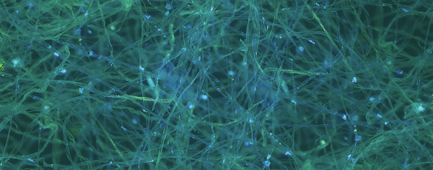 Filter material close-up