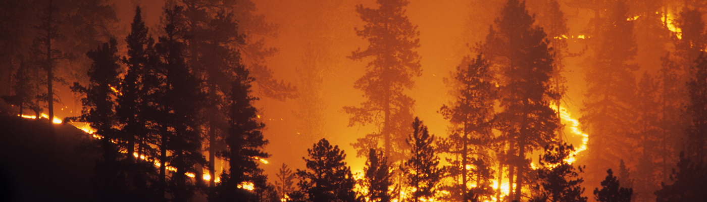 IoT and Wildfires - What Smart Devices Can Do to Protect People in Wildfire Events