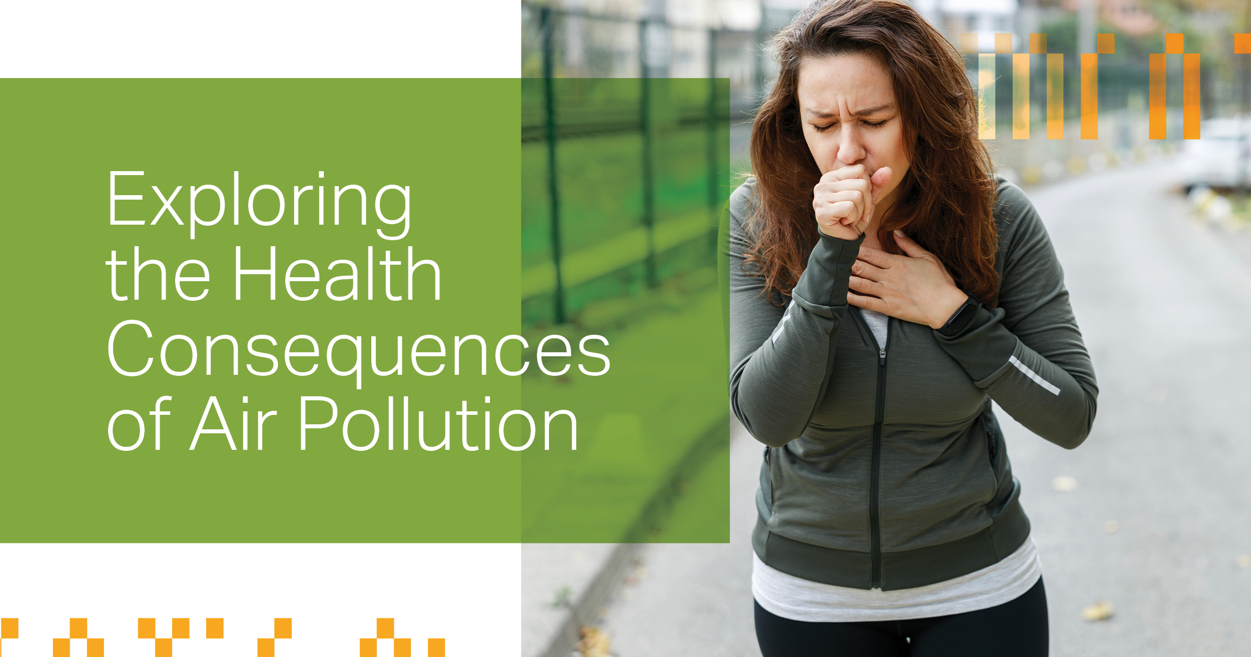 Exploring the Health Consequences of Air Pollution