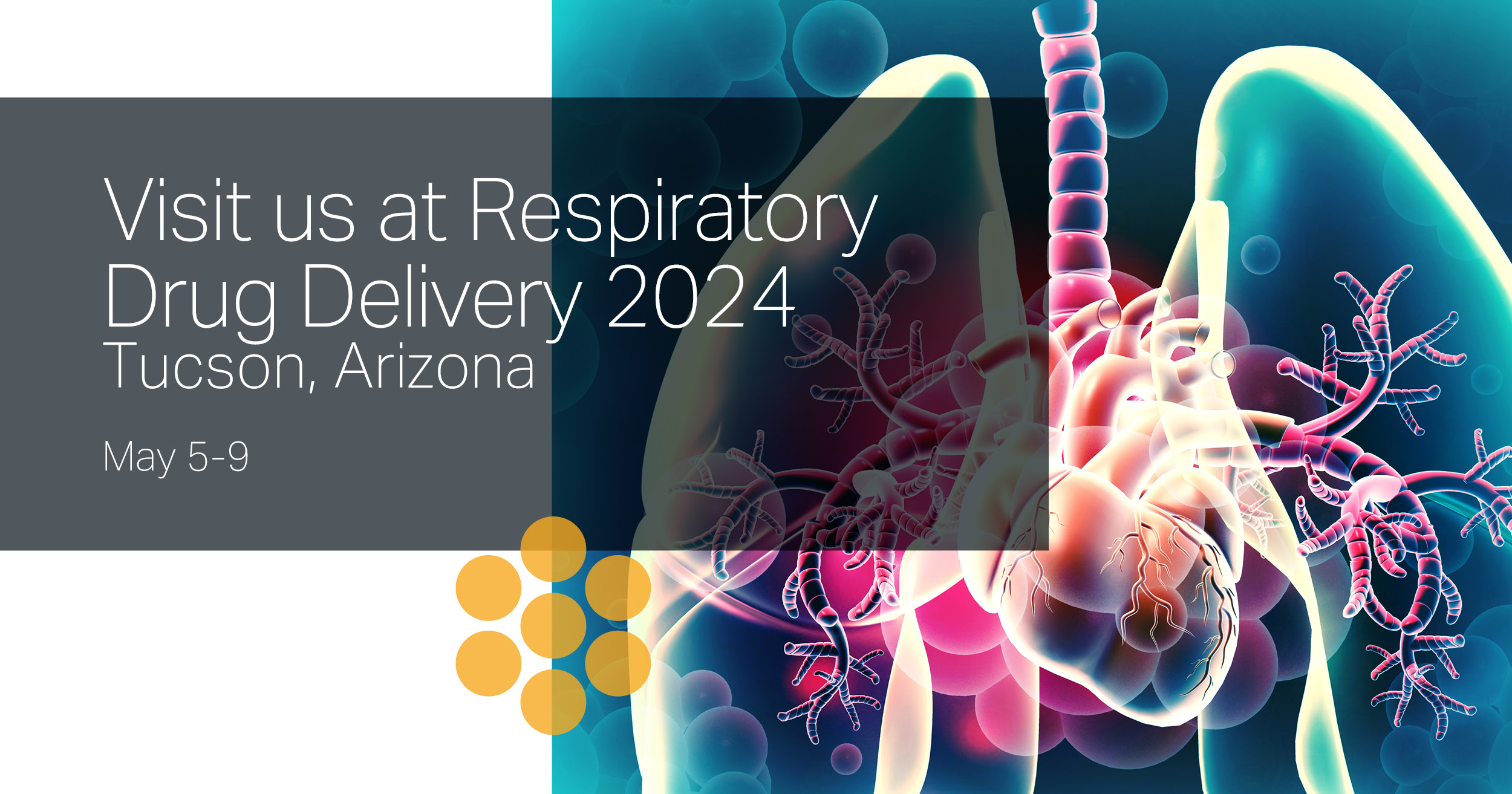 Respiratory Drug Delivery RDD 2024 TSI   6134290837 2024 RDD Social 1200 X 630