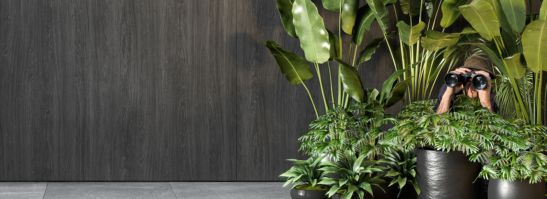 Rediscover the Great Indoors