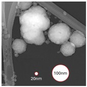 Fig. 4. TEM image of silica slurry abrasive particles attached to a substrate (branch-like structure).